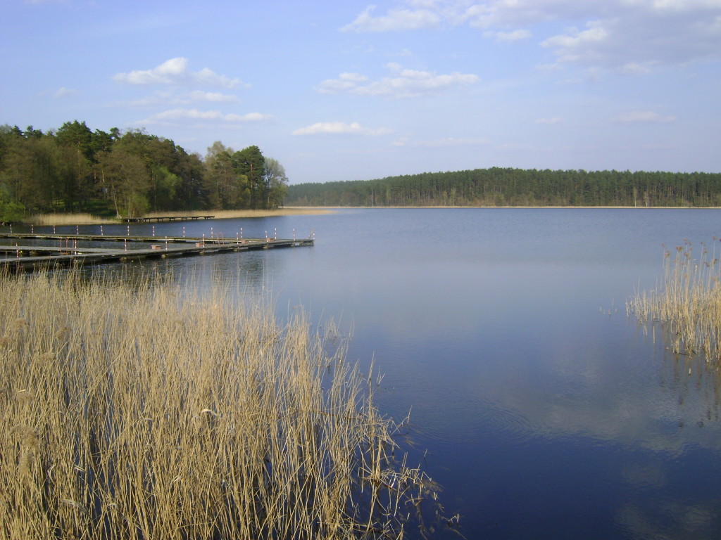 Mazury 2008 (3)
