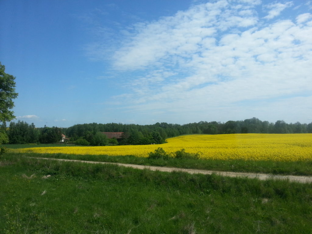 Moje Mazury