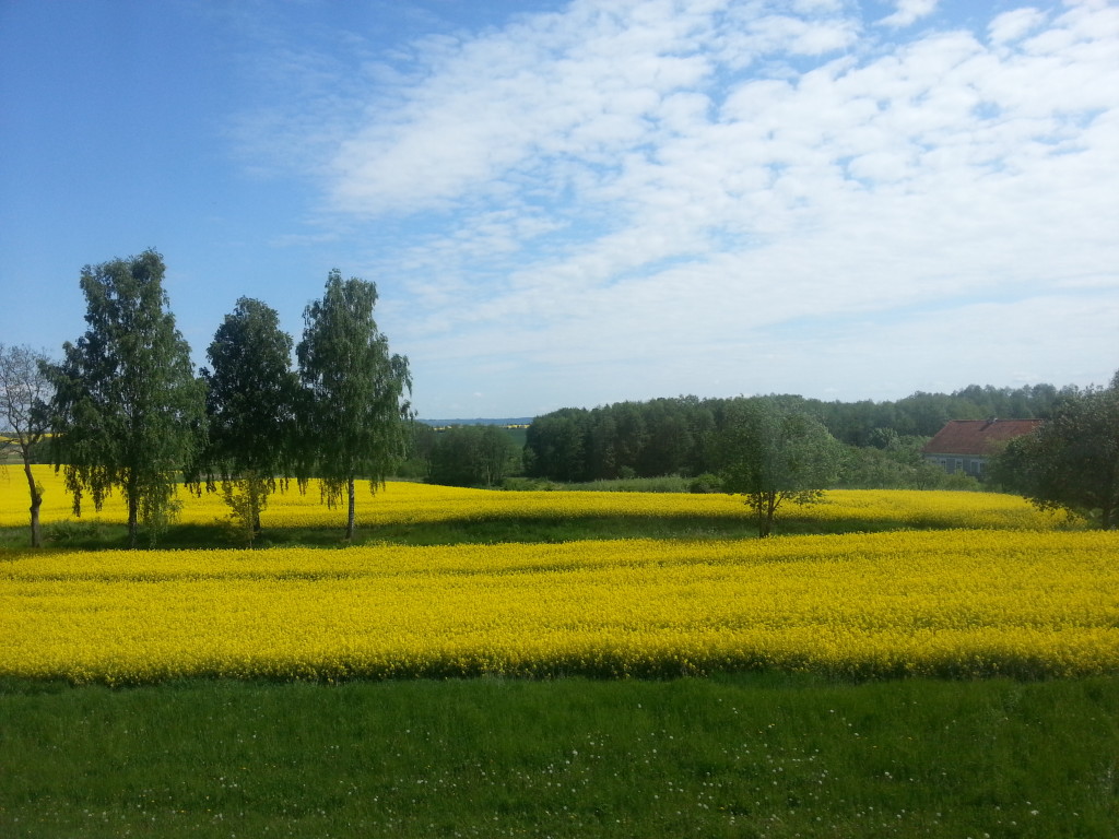 20150522_105350