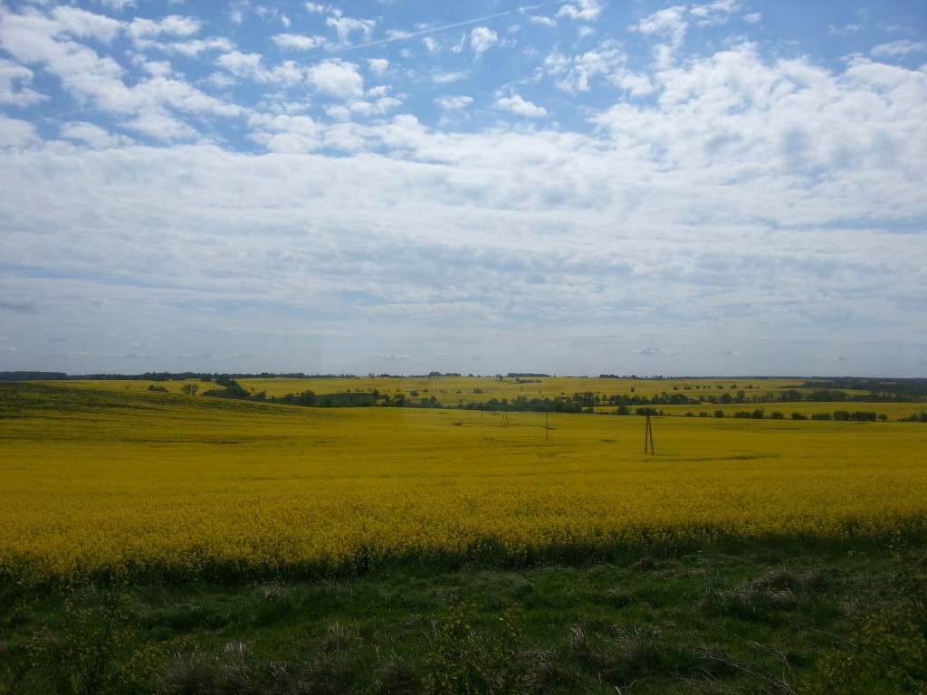 20150522_105658