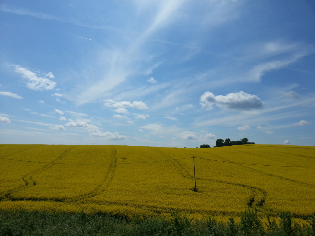 20150522_115903