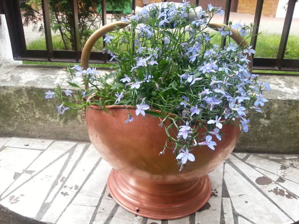 20150609_153336