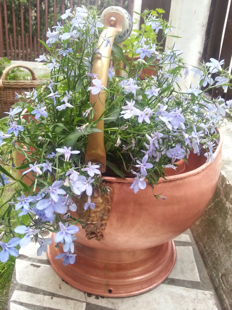 20150609_153440