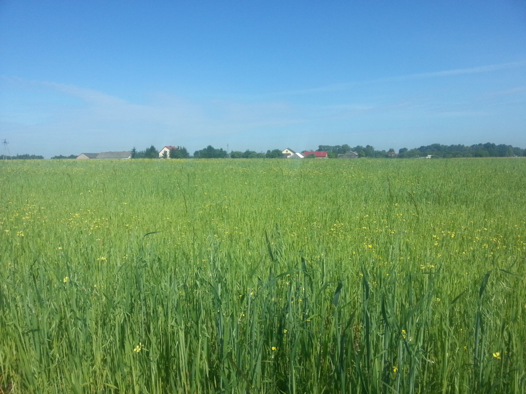 20150628_091556