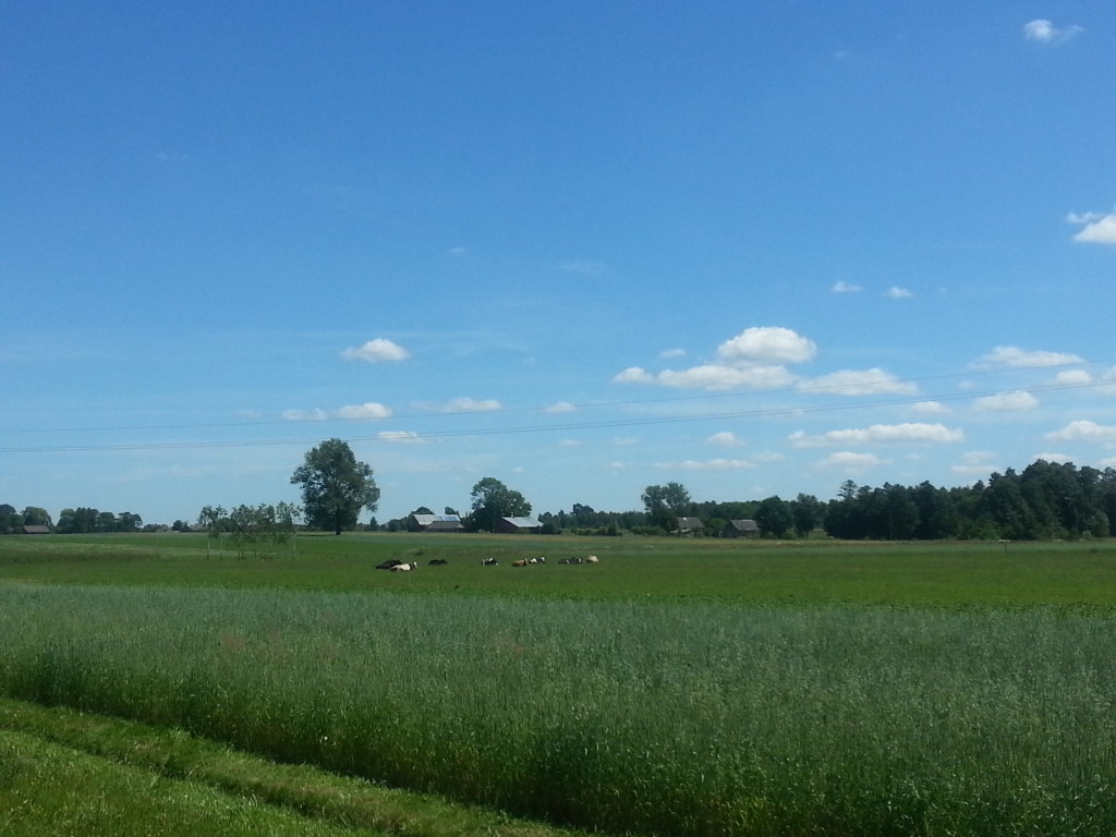 20150702_121422