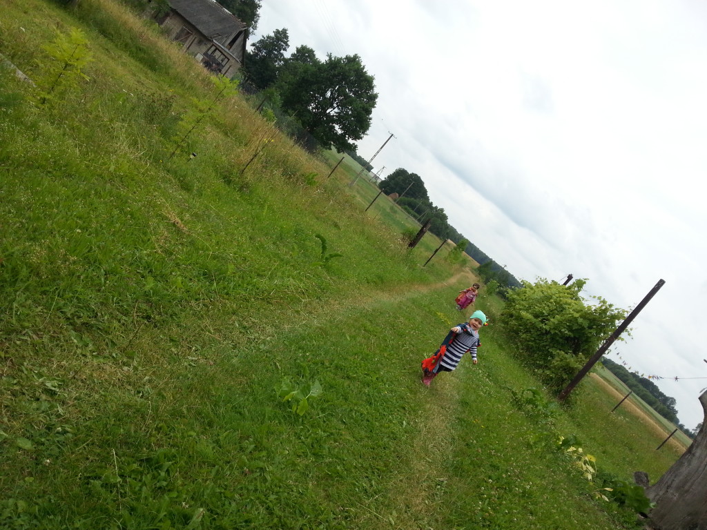 20150713_104840