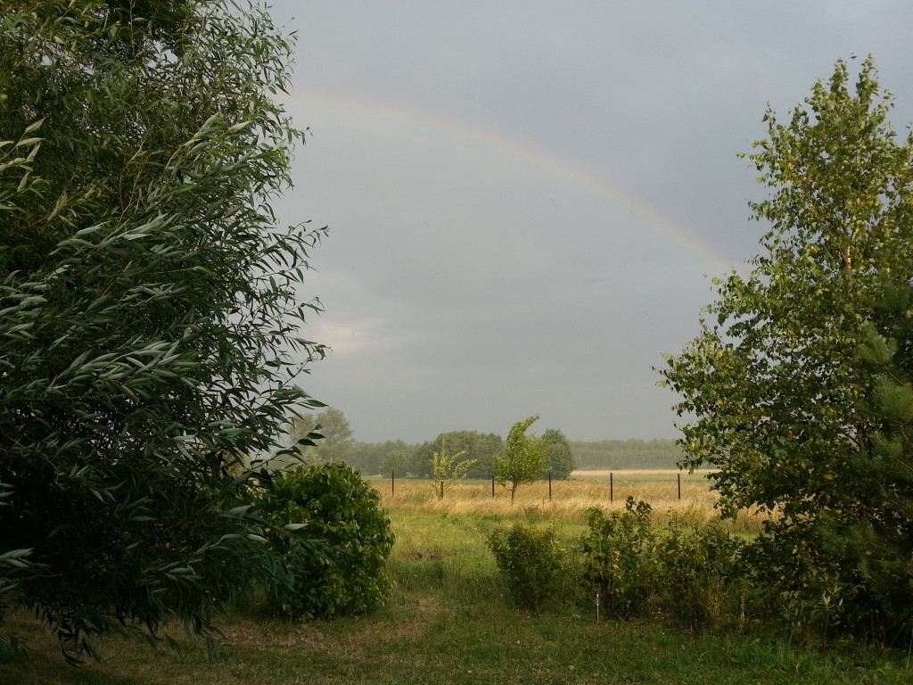 20150718_183632