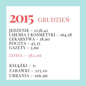 Zestawienie wydatków budżetu domowego - grudzień 2015.