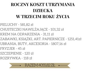 Roczny koszt utrzymania dziecka w trzecim roku życia. Ile kosztuje dziecko?