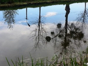 Nurt rzeki Orzysza